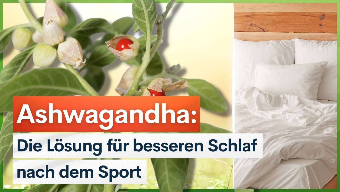Ashwagandha: Die Lösung für besseren Schlaf nach dem Sport
