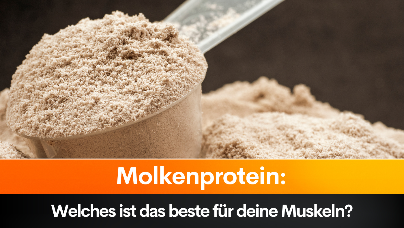 Molkenprotein: Welches ist das beste für deine Muskeln?