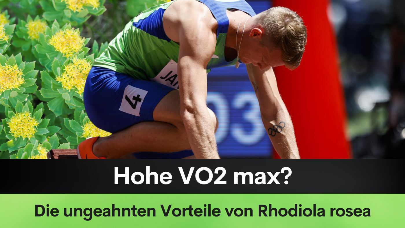 Hohe VO2 max? Die ungeahnten Vorteile von Rhodiola rosea