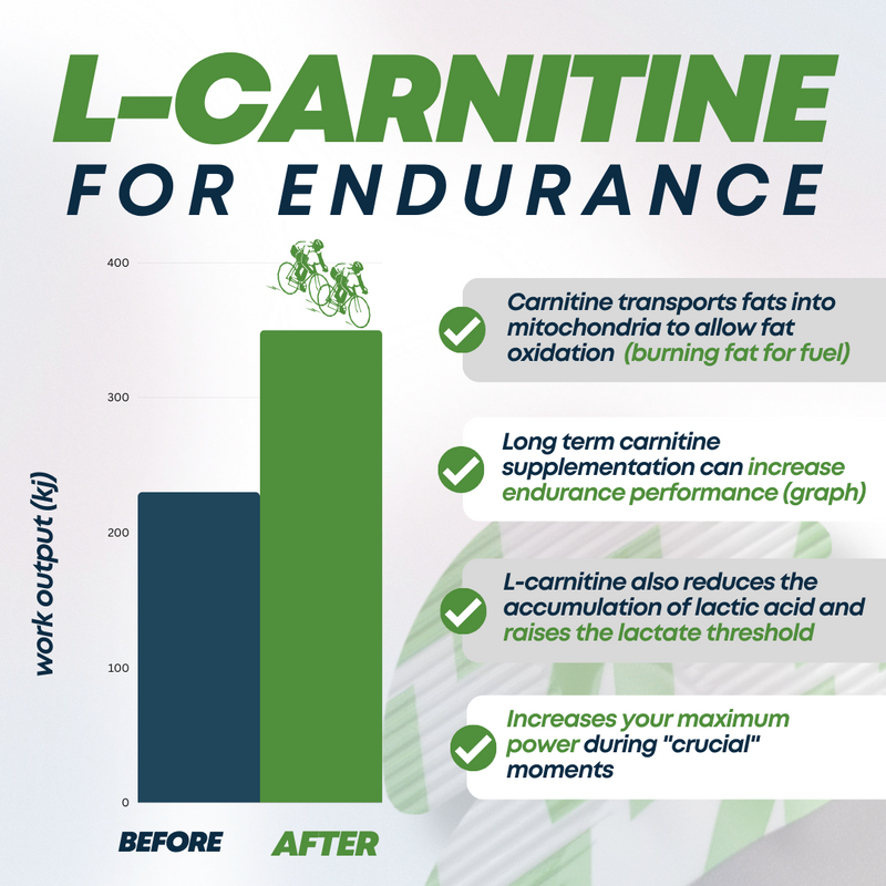 Energiegel mit L-Carnitin
